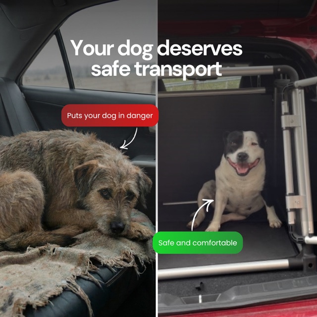 Dog transport safety ad
